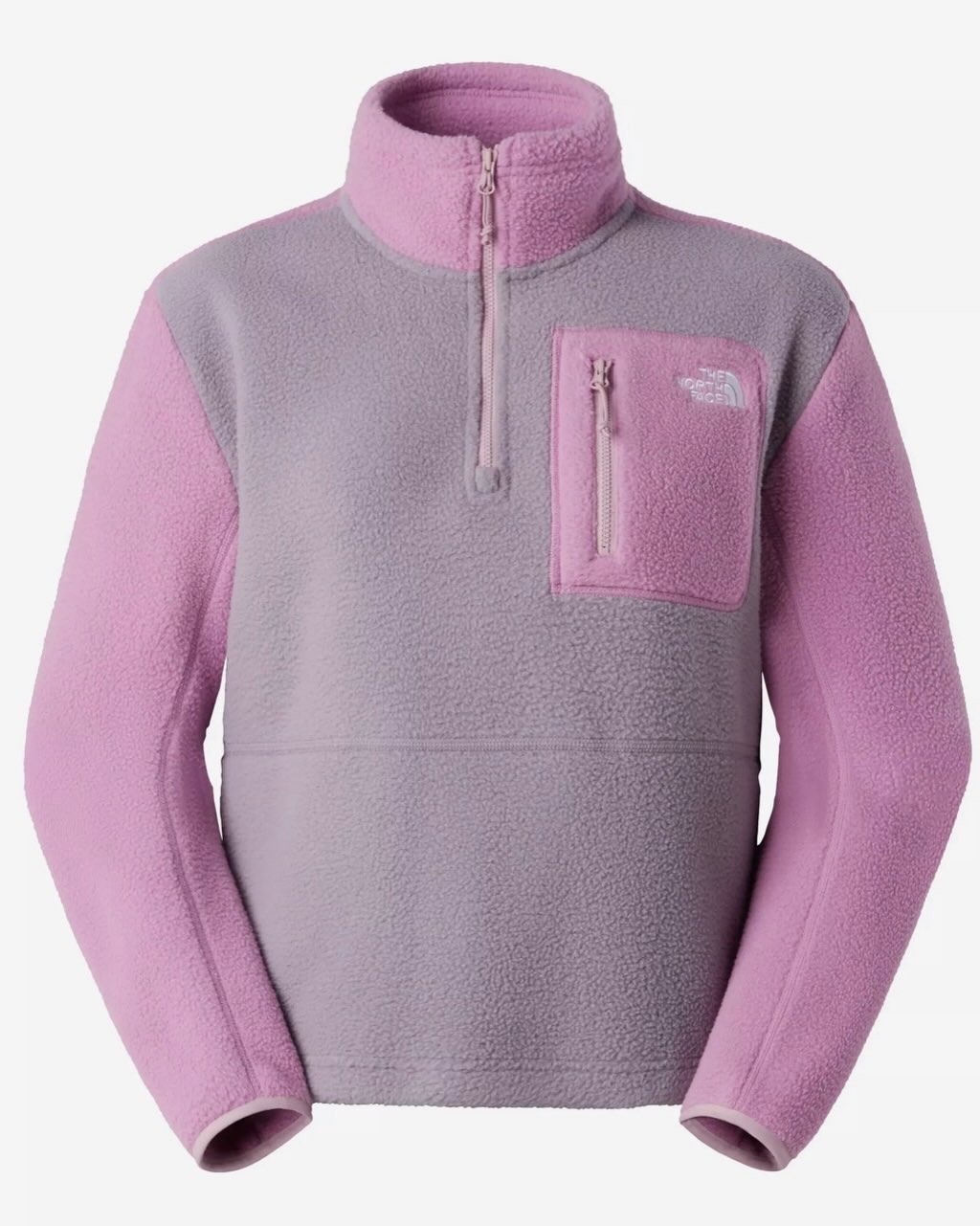 bluze the north face